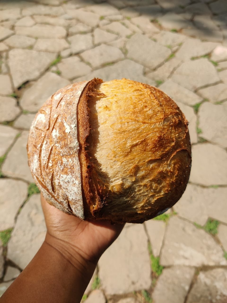 Slice of Classic Country Loaf showing airy crumb